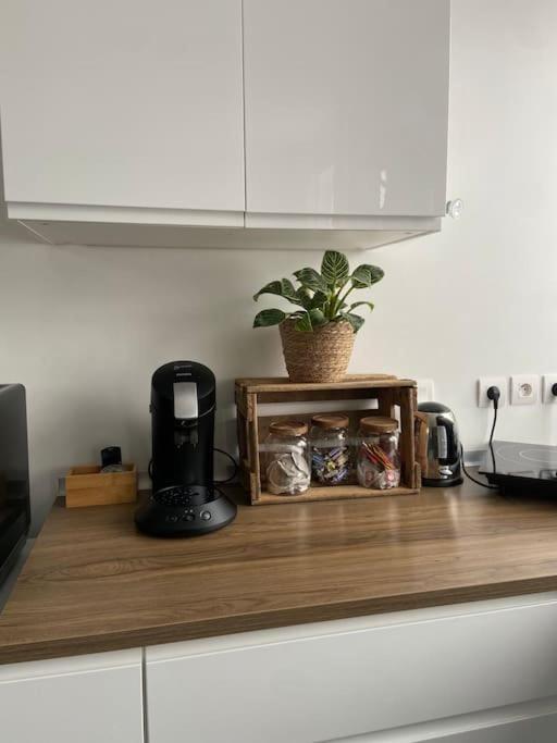 Appartement T2 Proche De La Gare Bourg En Bresse Kültér fotó